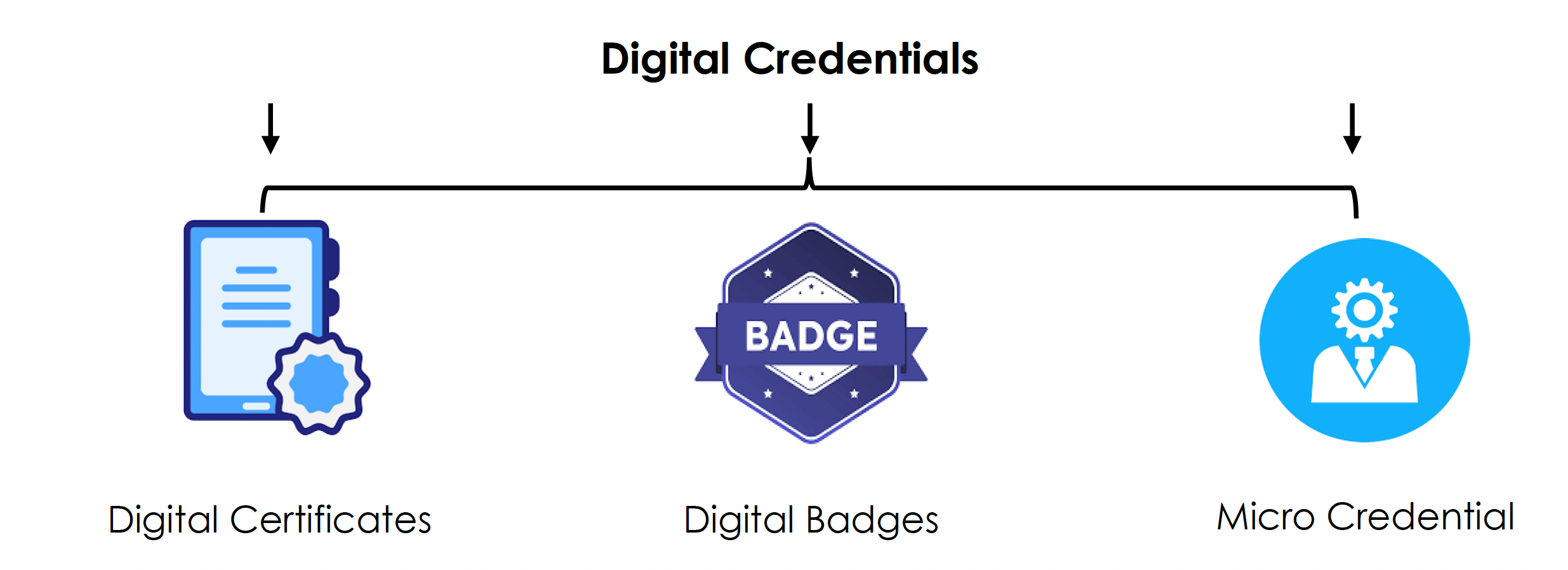 Description of image